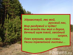 Здравствуй, лес мой, русский лес, Мир раздумий и чудес! Мне всегда ты мил и доро