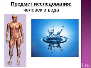 Предмет исследования: человек и вода