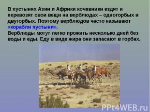 В пустынях Азии и Африки кочевники ездят и перевозят свои вещи на верблюдах – од