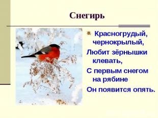 Снегирь Красногрудый, чернокрылый,Любит зёрнышки клевать,С первым снегом на ряби