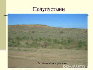 Полупустыни Астраханская полупустыня
