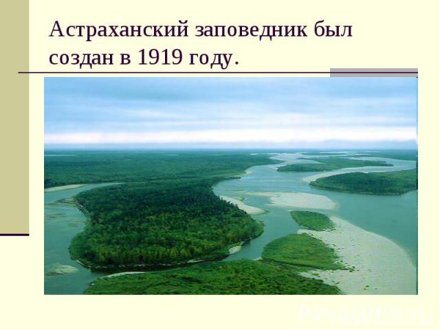 Астраханский заповедник был создан в 1919 году.