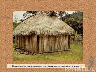 Крестьяне жили в хижинах, построенных из дерева и соломы.
