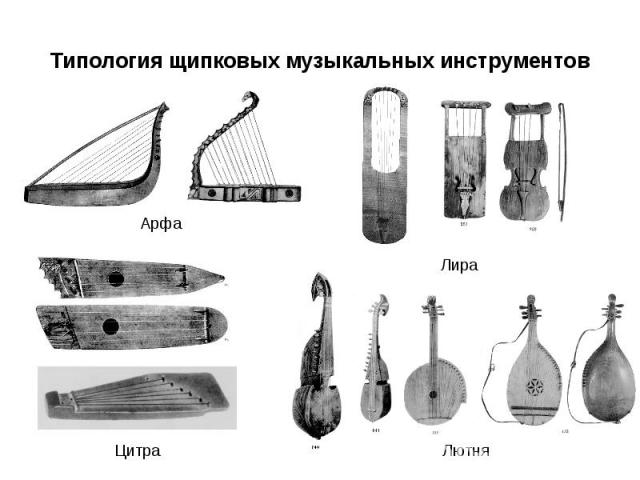 Типология щипковых музыкальных инструментов