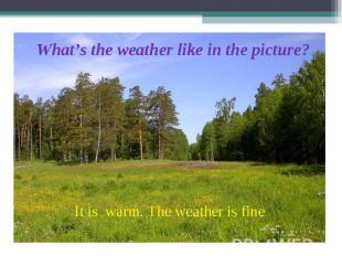 What’s the weather like in the picture? It is warm. The weather is fine.