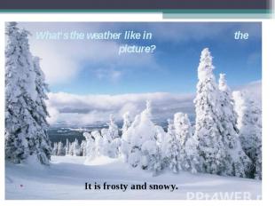 It is frosty and snowy. What‘s the weather like in the picture?
