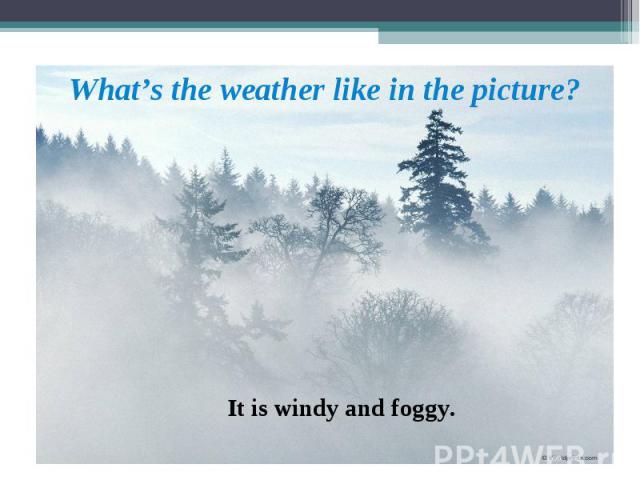 It is windy and foggy. What’s the weather like in the picture?
