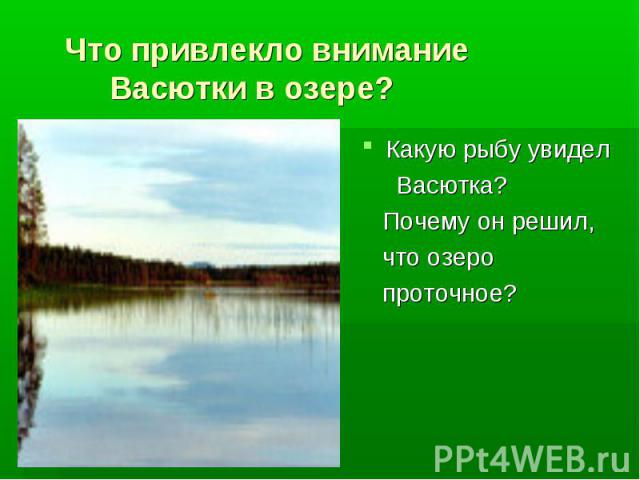 Что привлекло внимание Васютки в озере? Какую рыбу увидел Васютка? Почему он решил, что озеро проточное?