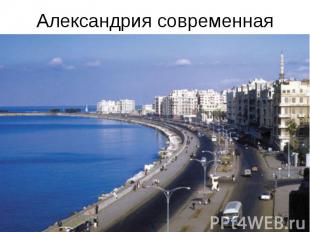 Александрия современная