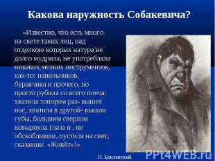 Какова наружность Собакевича? «Известно, что есть много на свете таких лиц, над