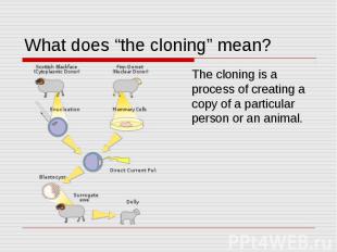 What does “the cloning” mean? The cloning is a process of creating a copy of a p