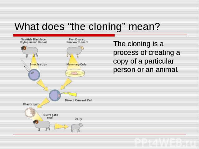 What does “the cloning” mean? The cloning is a process of creating a copy of a particular person or an animal.