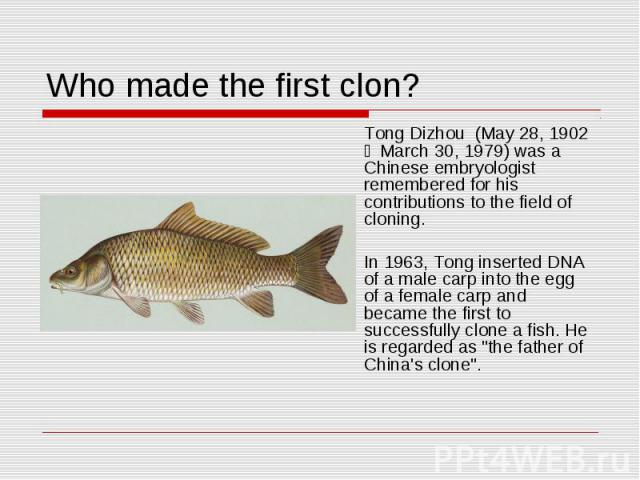 Who made the first clon? Tong Dizhou (May 28, 1902 － March 30, 1979) was a Chinese embryologist remembered for his contributions to the field of cloning. In 1963, Tong inserted DNA of a male carp into the egg of a female carp and became the first t…