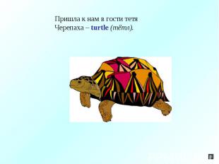 Пришла к нам в гости тетяЧерепаха – turtle (тётл).