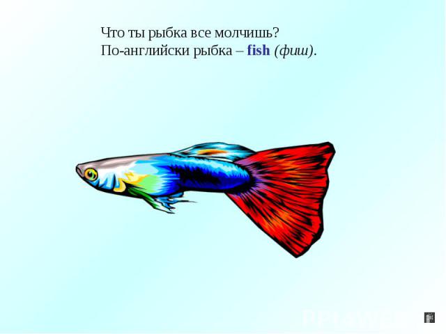 Что ты рыбка все молчишь?По-английски рыбка – fish (фиш).