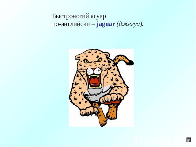 Быстроногий ягуарпо-английски – jaguar (джегуа).