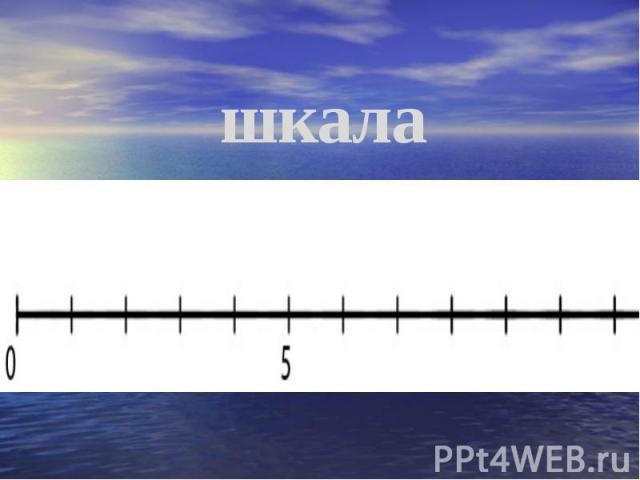 шкала