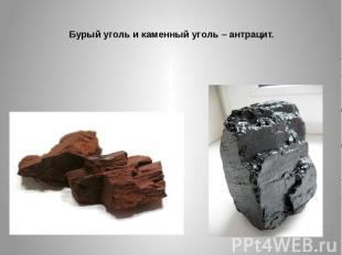 Бурый уголь и каменный уголь – антрацит.