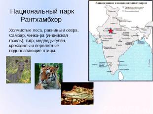 Национальный парк Рантхамбхор Холмистые леса, равнины и озера. Самбар, чинка-ра