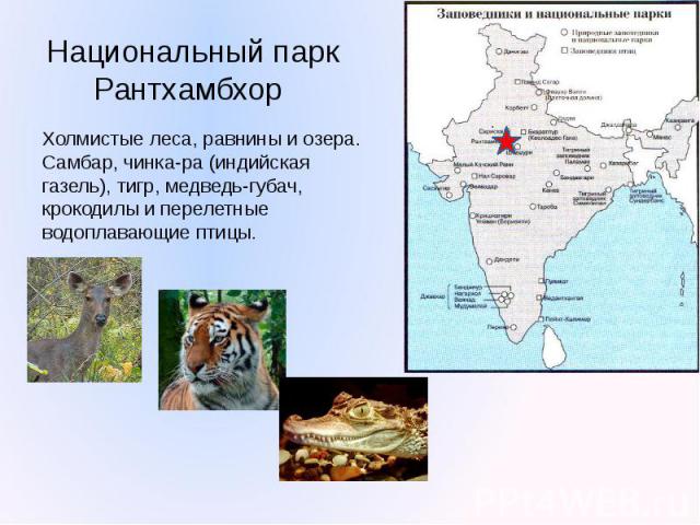 Национальный парк Рантхамбхор Холмистые леса, равнины и озера. Самбар, чинка-ра (индийская газель), тигр, медведь-губач, крокодилы и перелетные водоплавающие птицы.