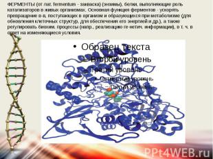 ФЕРМЕНТЫ (от лат. fermentum - закваска) (энзимы), белки, выполняющие роль катали