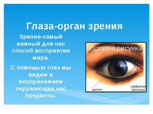 Глаза-орган зренияЗрение-самый важный для нас способ восприятия мира.С помощью г