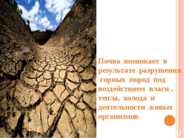 Почва возникает в результате разрушения горных пород под воздействием влаги , тепла, холода и деятельности живых организмов.