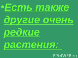 Есть также другие очень редкие растения: Есть также другие очень редкие растения