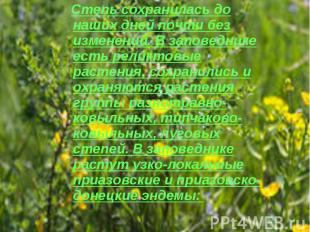 Степь сохранилась до наших дней почти без изменений. В заповеднике есть реликтов