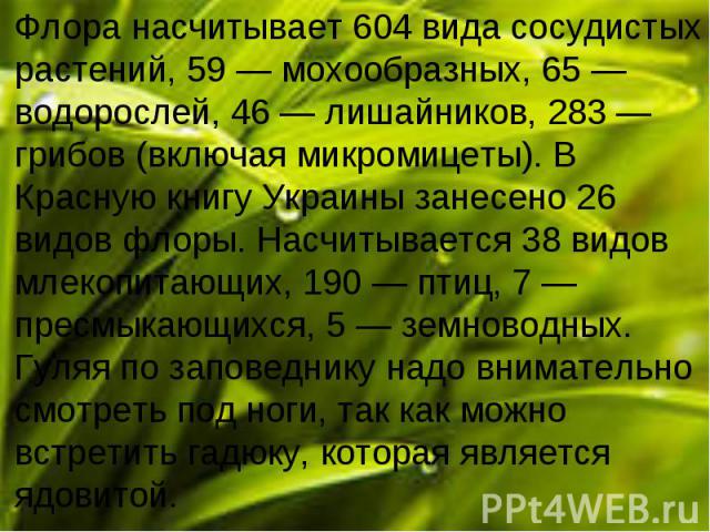 Флора насчитывает 604 вида сосудистых растений, 59 — мохообразных, 65 — водорослей, 46 — лишайников, 283 — грибов (включая микромицеты). В Красную книгу Украины занесено 26 видов флоры. Насчитывается 38 видов млекопитающих, 190&n…