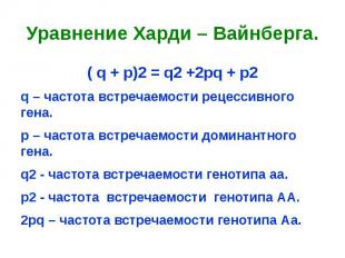 Уравнение Харди – Вайнберга.( q + p)2 = q2 +2pq + p2q – частота встречаемости ре