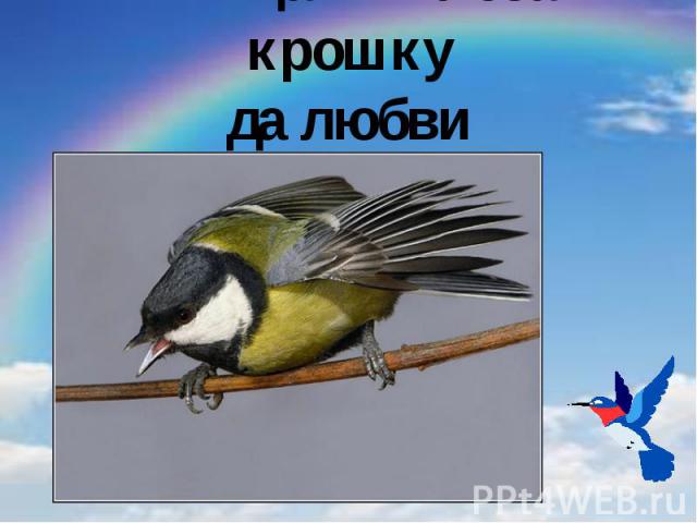 Птицам – хлеба крошку да любви немножко…