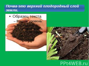 Почва-это верхний плодородный слой земли.