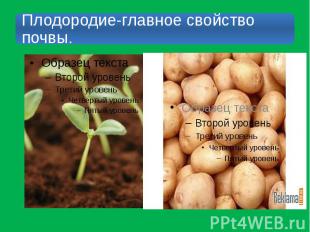 Плодородие-главное свойство почвы.