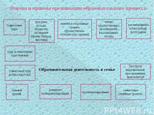 Формы и приемы организации образовательного процесса Образовательная деятельност