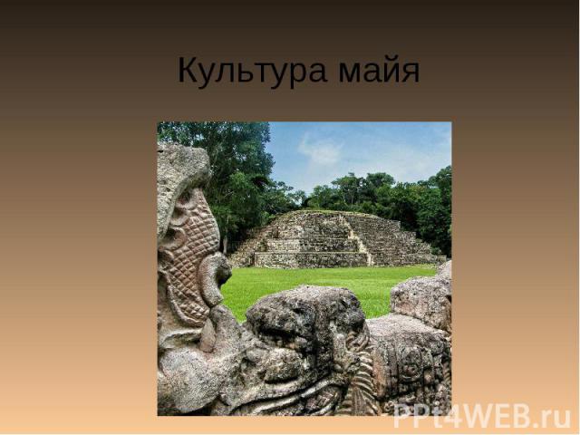 Культура майя