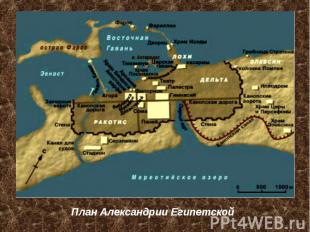 План Александрии Египетской