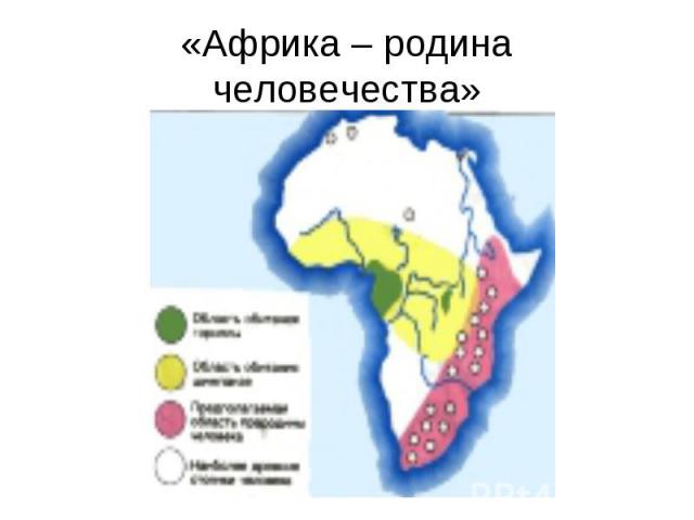 «Африка – родина человечества»