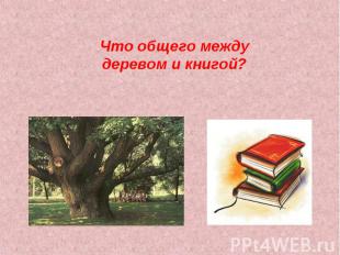 Что общего между деревом и книгой?
