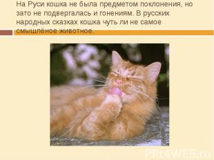 На Руси кошка не была предметом поклонения, но зато не подвергалась и гонениям.