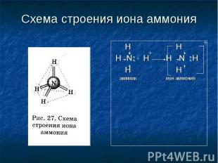Схема строения иона аммония H H H N + H H N H H H аммиак ион аммония