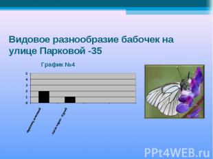 Видовое разнообразие бабочек на улице Парковой -35 График №4 