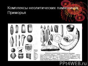Комплексы неолитических памятников Приморья