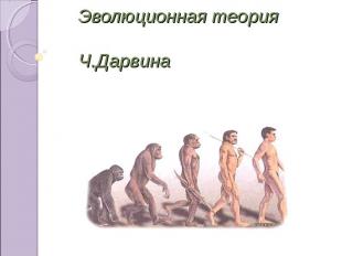 Эволюционная теория Ч.Дарвина