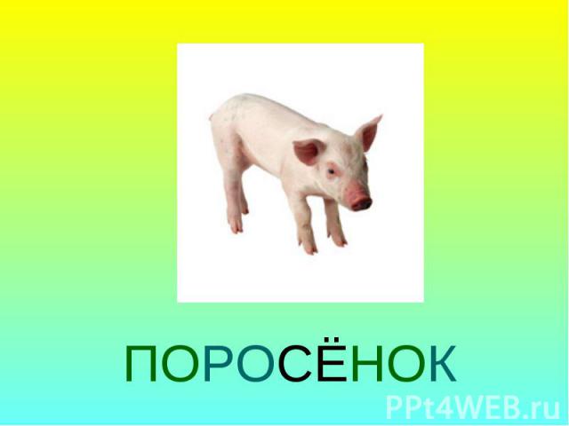 ПОРОСЁНОК