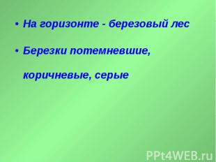 На горизонте - березовый лесБерезки потемневшие, коричневые, серые