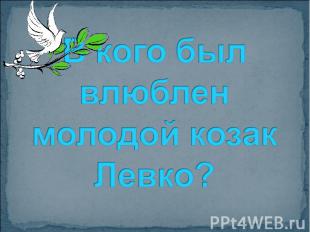 В кого был влюблен молодой козак Левко?