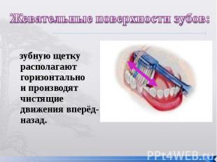 Жевательные поверхности зубов: зубную щетку располагают горизонтально и производ