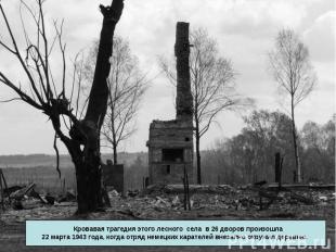 Кровавая трагедия этого лесного села в 26 дворов произошла 22 марта 1943 года, к