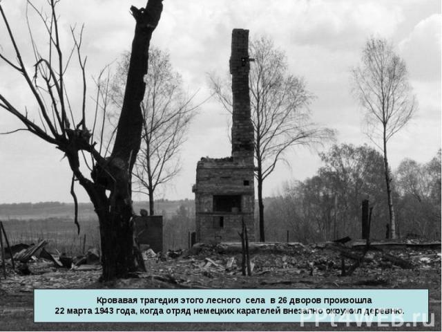 Кровавая трагедия этого лесного села в 26 дворов произошла 22 марта 1943 года, когда отряд немецких карателей внезапно окружил деревню.